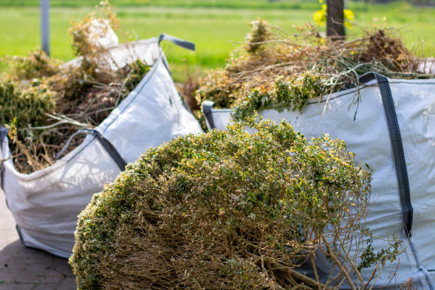 Best Retail Junk Removal  in Laurens, IA